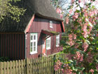 Traditionelles Ferienhaus in Born